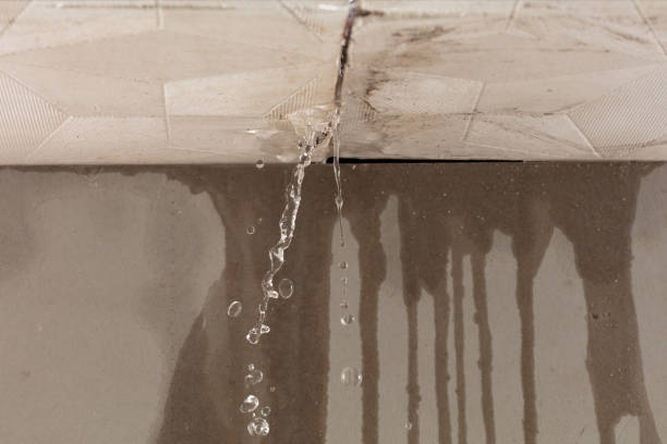 Professional Burst Pipe Cleanup technician working in Tenants Harbor, ME